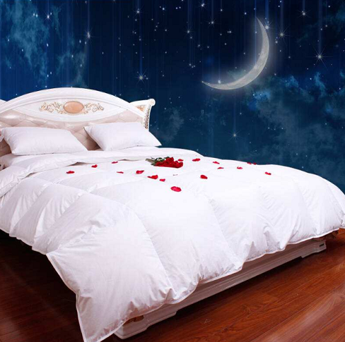 鹅绒被好还是蚕丝被好?